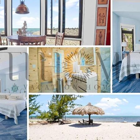 Ocean Depth Room Barnacle Bed And Breakfast Deers Suite Big Pine Key Exterior photo